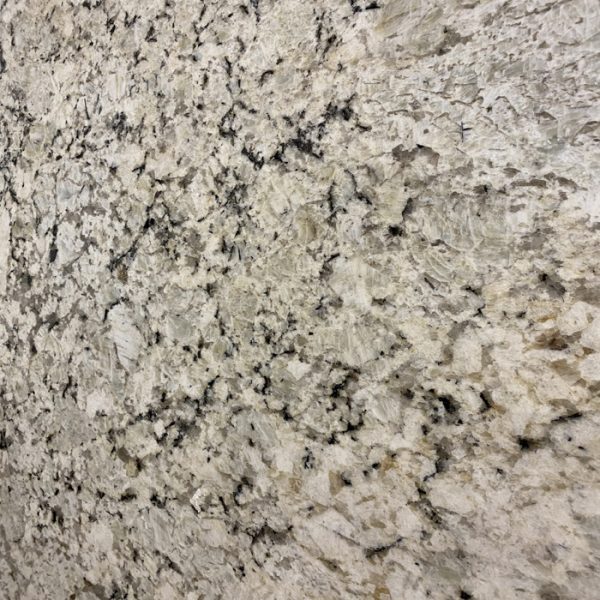 Santa Cecilia Real granite countertops Bellevue